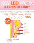 Yolaine Dr. Dennis Gross DrX Spectralite Lipware Pro with sleek design and LED light therapy for lip skincare.